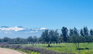 Venta Propiedad Marrakech