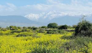 Venta Propiedad Marrakech