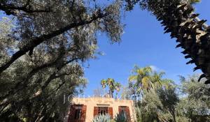 Venta Propiedad Marrakech