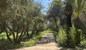 Venta Propiedad Marrakech