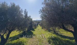 Venta Propiedad Ollioules