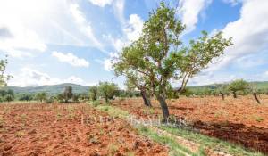 Venta Propiedad Santa Eularia des Riu