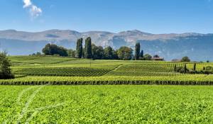 Venta Propiedad Satigny
