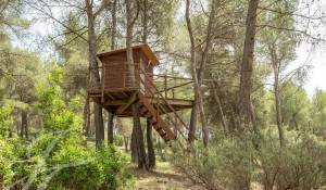 Venta Propiedad Simiane-Collongue