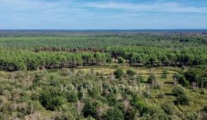 Venta Reserva de caza Chambord