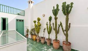 Venta Riad Essaouira