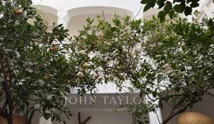 Venta Riad Marrakech