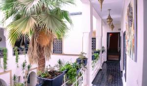 Venta Riad Marrakech