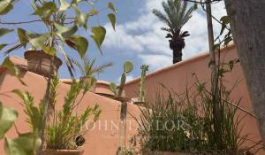 Venta Riad Marrakech