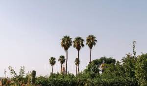 Venta Riad Marrakech