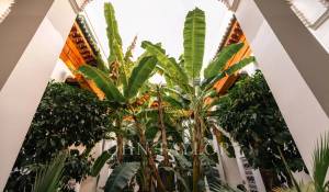 Venta Riad Marrakech