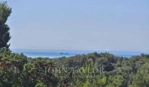 Venta Terreno Bendinat