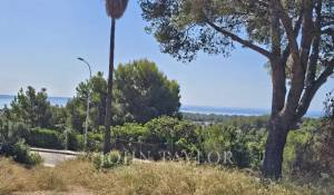 Venta Terreno Bendinat