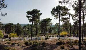 Venta Terreno Carvalhal