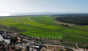 Venta Terreno Carvalhal