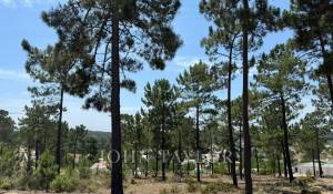 Venta Terreno Carvalhal