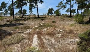 Venta Terreno Carvalhal