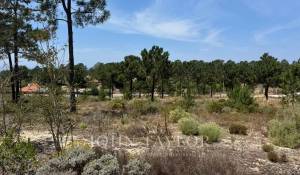 Venta Terreno Carvalhal