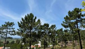 Venta Terreno Carvalhal