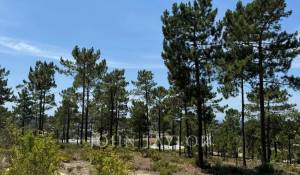 Venta Terreno Carvalhal