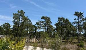 Venta Terreno Carvalhal