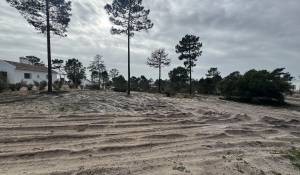 Venta Terreno Carvalhal