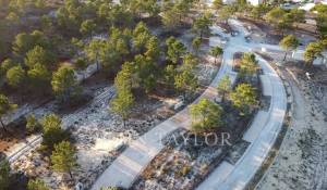 Venta Terreno Carvalhal