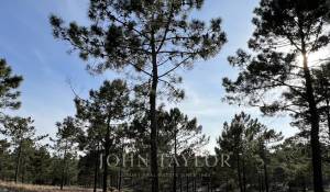 Venta Terreno Carvalhal