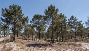 Venta Terreno Carvalhal