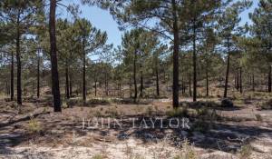 Venta Terreno Carvalhal