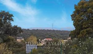 Venta Terreno Ciudalcampo