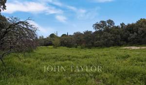 Venta Terreno Ciudalcampo