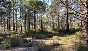 Venta Terreno Comporta