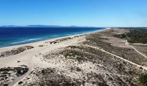 Venta Terreno Comporta