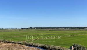 Venta Terreno Comporta