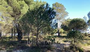 Venta Terreno Comporta