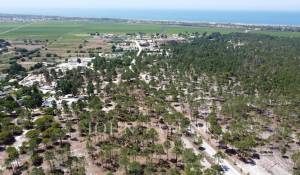 Venta Terreno Comporta