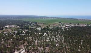 Venta Terreno Comporta