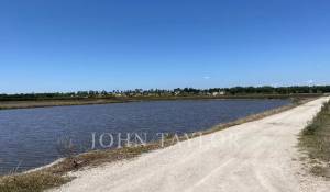 Venta Terreno Comporta