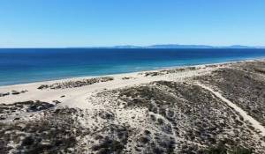 Venta Terreno Comporta