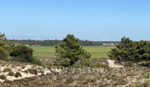 Venta Terreno Comporta