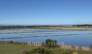 Venta Terreno Comporta