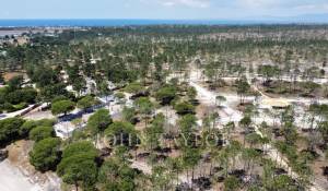 Venta Terreno Comporta