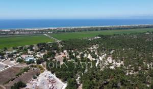 Venta Terreno Comporta