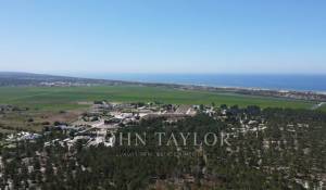 Venta Terreno Comporta