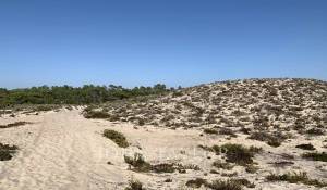 Venta Terreno Comporta