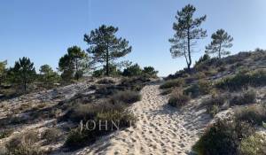 Venta Terreno Comporta