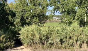 Venta Terreno Comporta