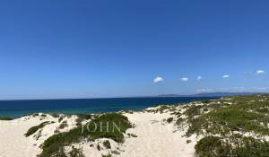 Venta Terreno Comporta