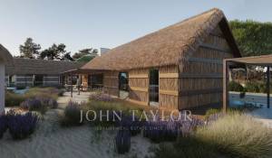 Venta Terreno Comporta